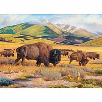 Roaming the Plains - Eurographics