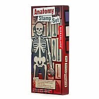 DIY Human Body Anatomy Stamp Set.