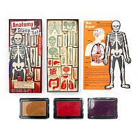 DIY Human Body Anatomy Stamp Set.