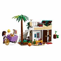 Wish: Asha in the City of Rosas - Retired