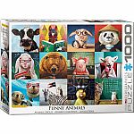 Funny Animals - Eurographics