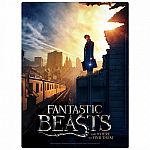 Fantastic Beasts and Where to Find Them New York City 500 Piece Poster-Puzzle Retired
