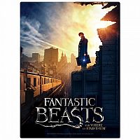 Fantastic Beasts and Where to Find Them New York City 500 Piece Poster-Puzzle Retired
