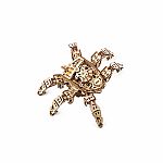 UGears Mechanical Models - Hexapod Explorer 