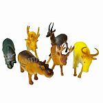 Animal World - Jungle Animals 