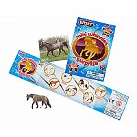 Mini Whinnies Surprise - Series 2.