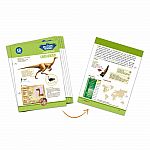 Dinosaurs Collection - Ornithomimus  - Retired.