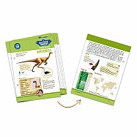 Dinosaurs Collection - Ornithomimus  - Retired.