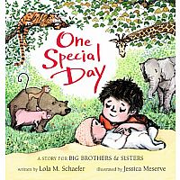 One Special Day: A Story for Big Brothers & Sisters  