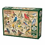 Popular Back Yard Wild Birds of North America - Cobble Hill.