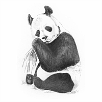 Mini Sketching Made Easy - Panda  