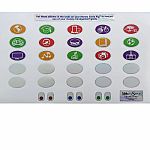 Money Savvy Piggy Bank  