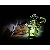 Wiltopia: Rainforest Night Light - Retired