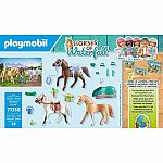 Horses of Waterfall: Three Horses with Saddles