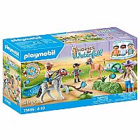 Horses of Waterfall: Pony Tournament