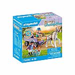 Horses of Waterfall: Pony Carriage