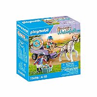 Horses of Waterfall: Pony Carriage