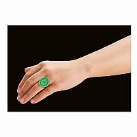 Miraculous : Carapace - Retired.