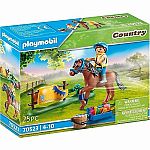 Country: Collectible Welsh Pony