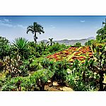 Beautiful Gardens : Botanical Gardens Madeira - Ravensburger