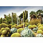 Beautiful Gardens: The Huntington Desert Garden Californa - Ravensburger