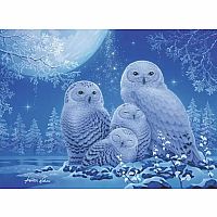 Glow in the Dark : Owls in Moonlight 
