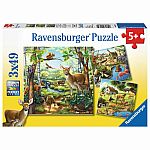 Forest / Zoo / Domestic Animals 3x49 - Ravensburger 