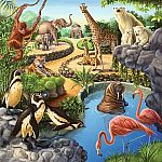 Forest / Zoo / Domestic Animals 3x49 - Ravensburger 