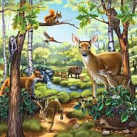 Forest / Zoo / Domestic Animals 3x49 - Ravensburger 