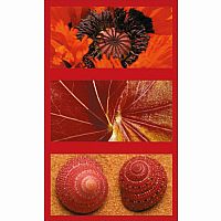 Natural Impressions in Red Puzzle - Ravensburger