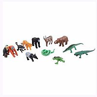 Rainforest Nature Tube  