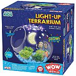 Wow in the World Light-Up Terrarium